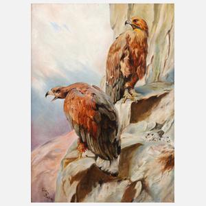 Rehm, Steinadlerpaar im Horst