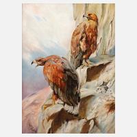 Rehm, Steinadlerpaar im Horst111