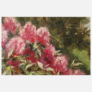 Siegfried Rochel, Sommerlicher Park