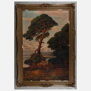 Otto Schmieder, Kiefer in märkischer Landschaft