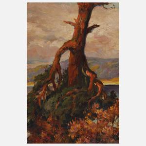 Otto Schmieder, Kiefer in märkischer Landschaft