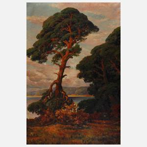 Otto Schmieder, Kiefer in märkischer Landschaft