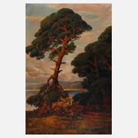 Otto Schmieder, Kiefer in märkischer Landschaft111