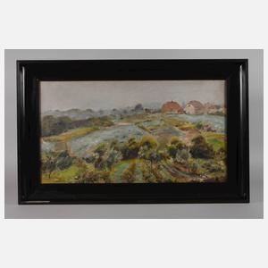 Prof. Max Schwimmer, Sommerlandschaft