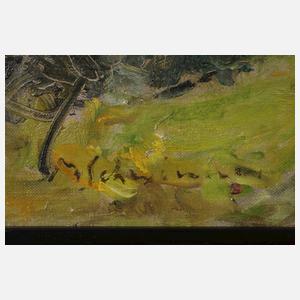 Prof. Max Schwimmer, Sommerlandschaft