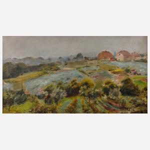 Prof. Max Schwimmer, Sommerlandschaft