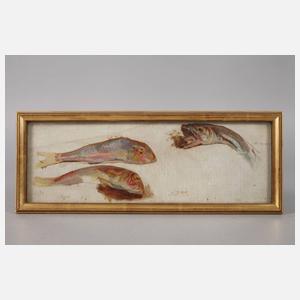 Prof. Franz Xaver Simm, Fischstudie