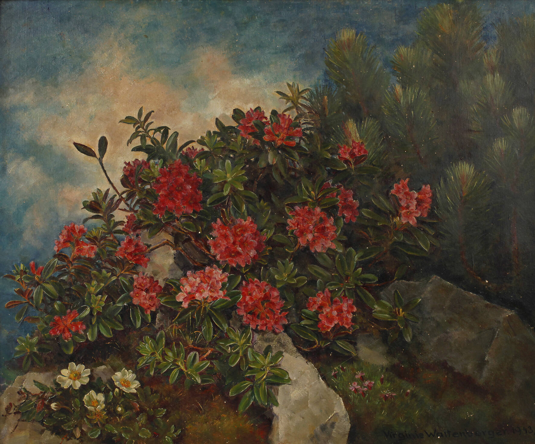 Virginie Waltenberger, Blühende Azaleen