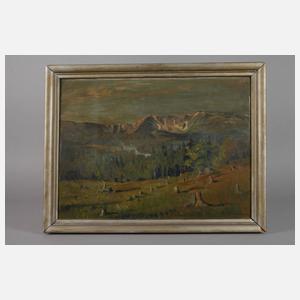 Georg Wichmann, Blick auf Sniezne Kotly