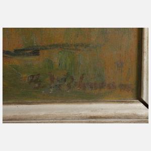 Georg Wichmann, Blick auf Sniezne Kotly