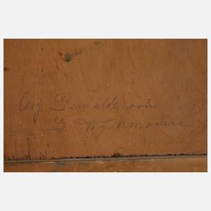 Georg Wichmann, Blick auf Sniezne Kotly