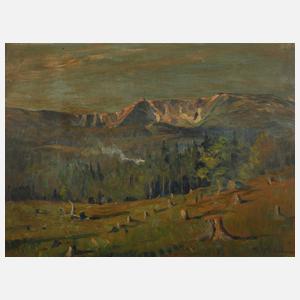 Georg Wichmann, Blick auf Sniezne Kotly