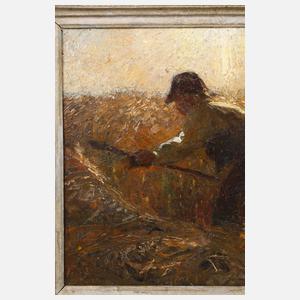 Schnitter im Sonnenlicht