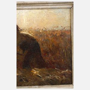 Schnitter im Sonnenlicht