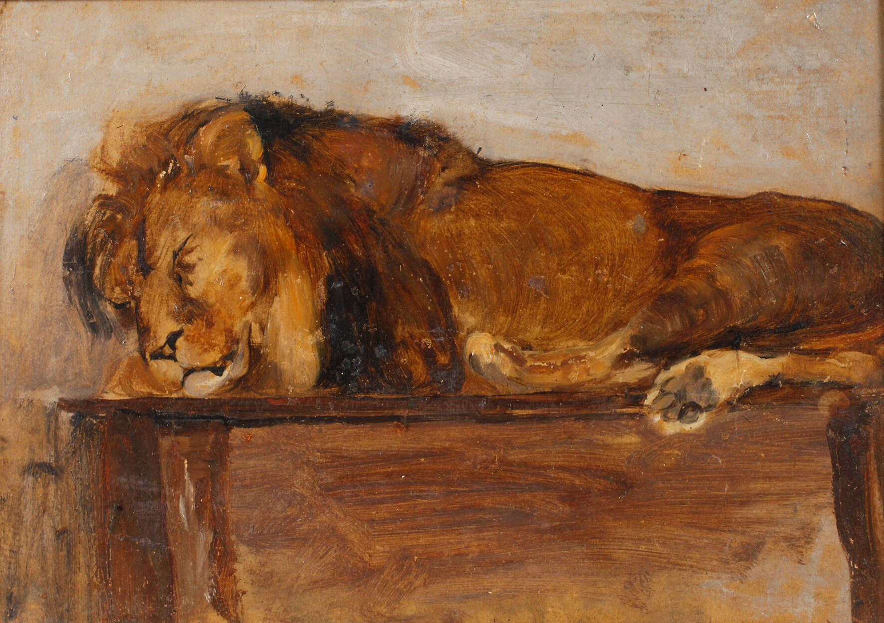 Schlafender Löwe