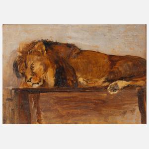 Schlafender Löwe