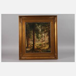 Sommerlicher Waldweg