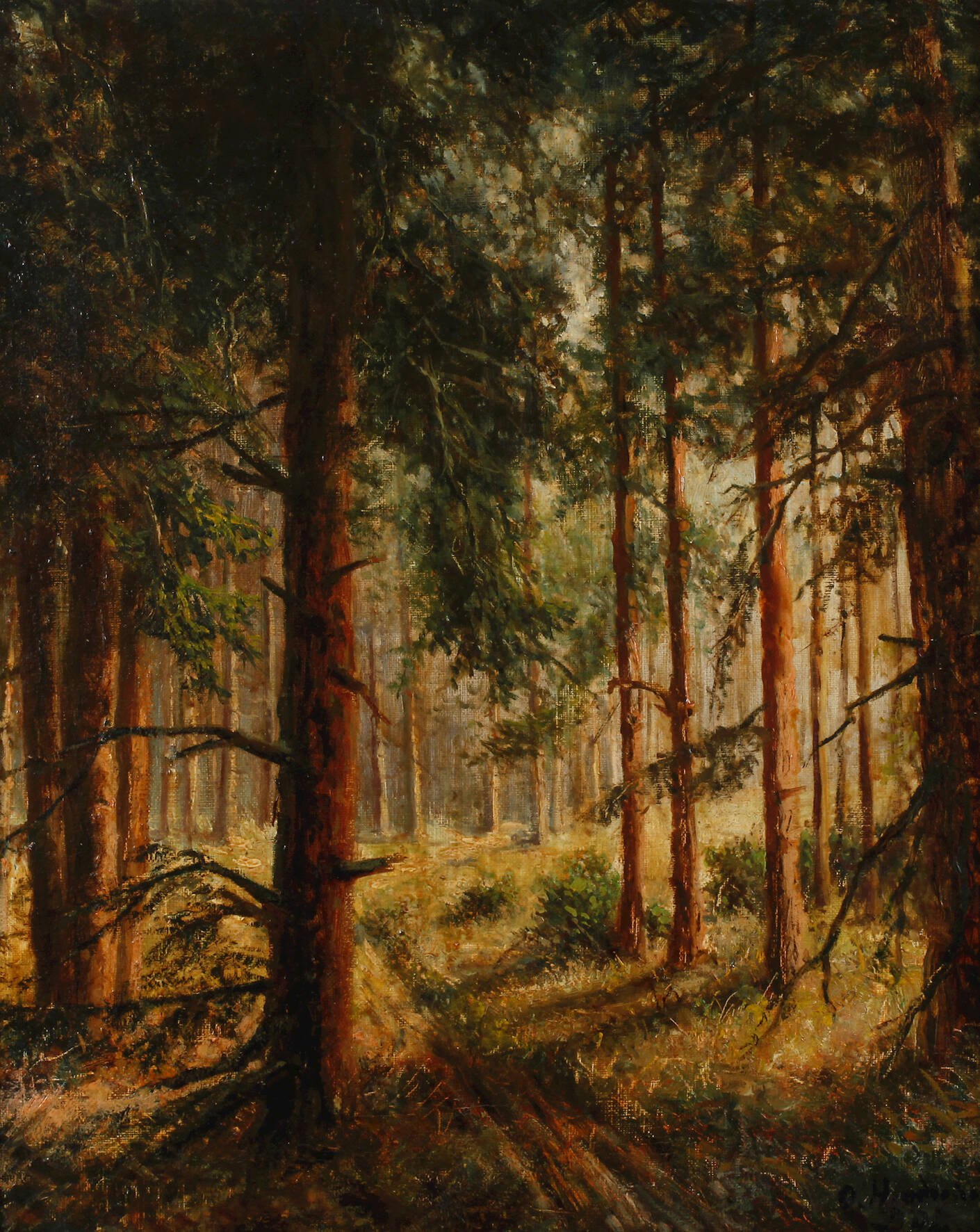 Sommerlicher Waldweg