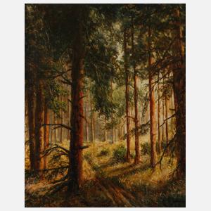 Sommerlicher Waldweg