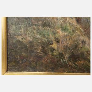 Norddeutsche Landschaft