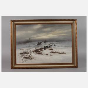 Raben in Winterlandschaft