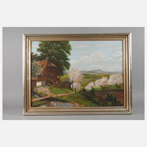 Bauernhaus im Schwarzwald