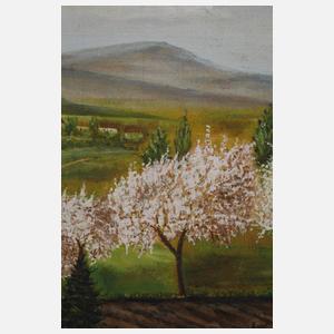 Bauernhaus im Schwarzwald