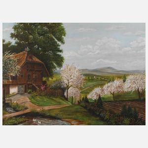 Bauernhaus im Schwarzwald