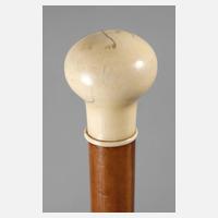 Spazierstock Elfenbein111