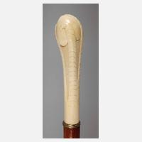 Spazierstock Elfenbein111