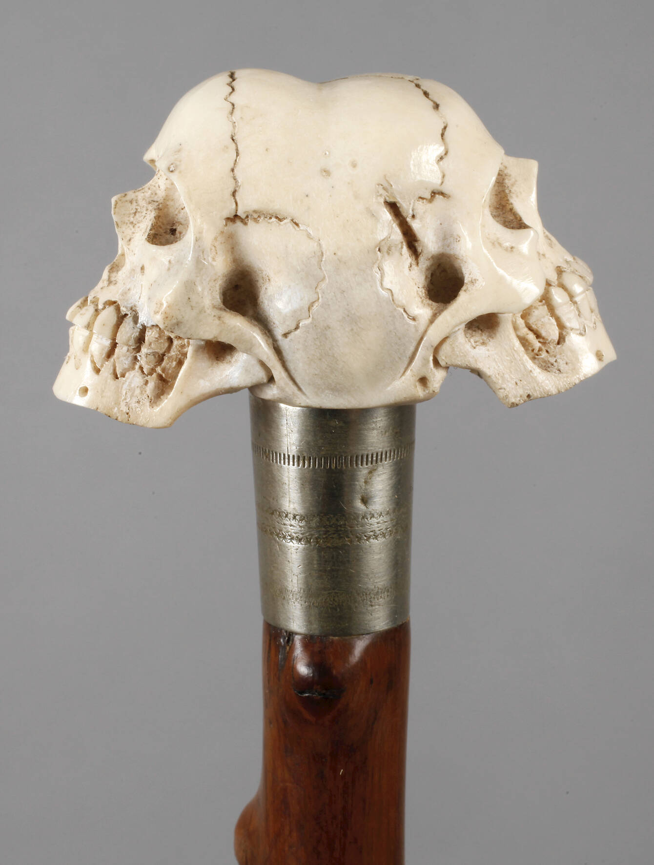 Spazierstock Memento Mori