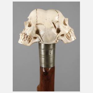 Spazierstock Memento Mori