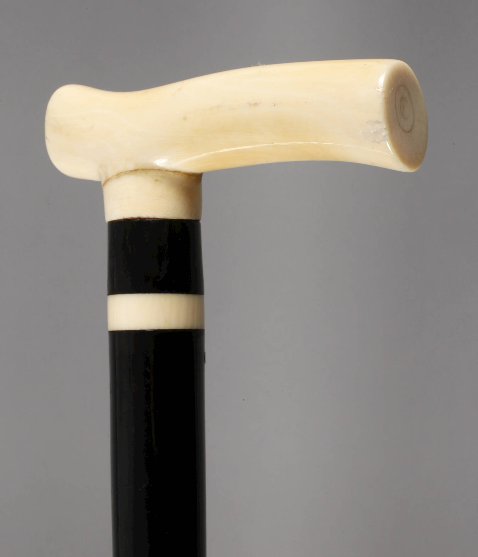 Spazierstock Elfenbein