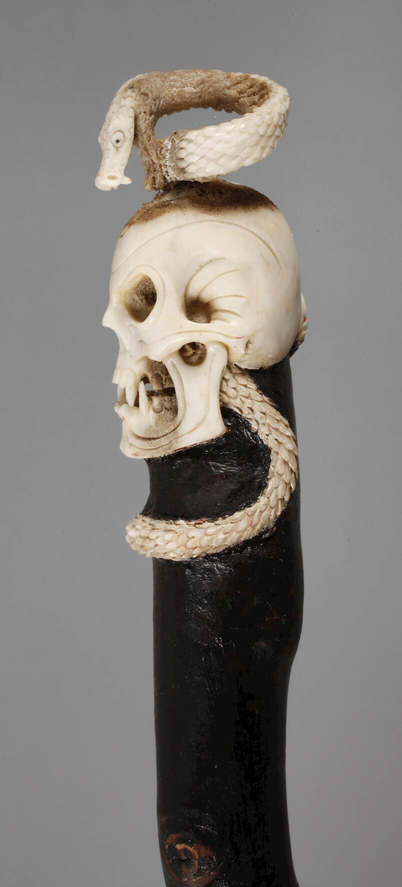 Spazierstock Memento Mori