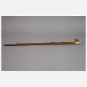 Spazierstock Horn