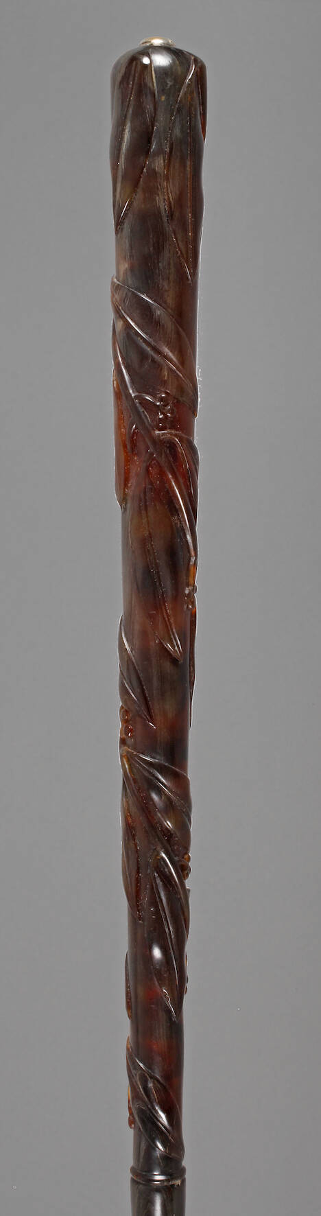 Feiner Spazierstock Schildpatt