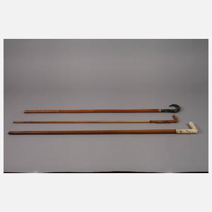 Drei Spazierstöcke