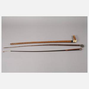 Spazierstock und zwei Reitgerten