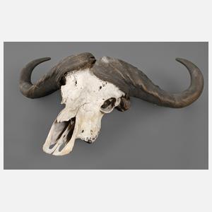 Übergroße Jagdtrophäe