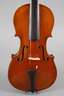 Violine