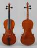 Violine