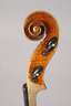 Violine Modell Stainer