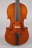 Violine