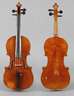 Violine