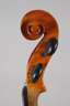 Violine