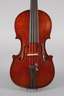 Violine Luigi Amici