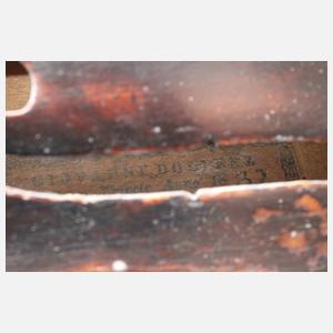 Violine Giovanni Dollenz