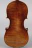 Violine Carlo Bergonzi