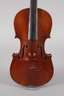 Violine Modell Amatus