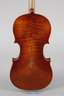Violine Modell Amatus